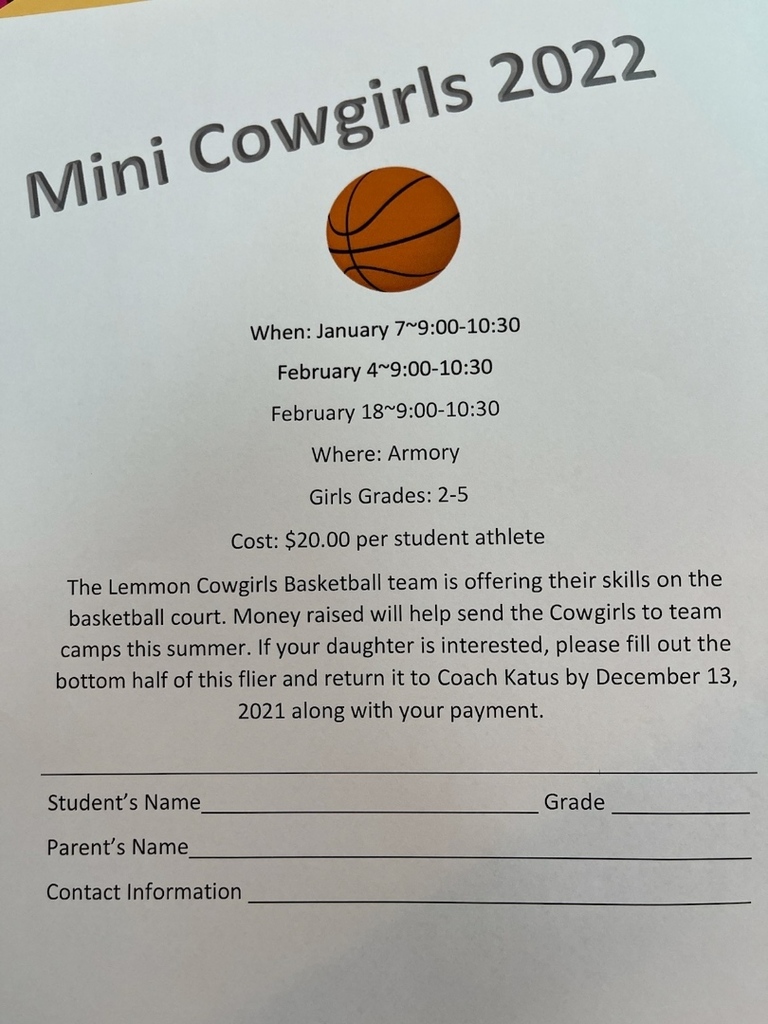 Mini Cowgirl Basketball registration form
