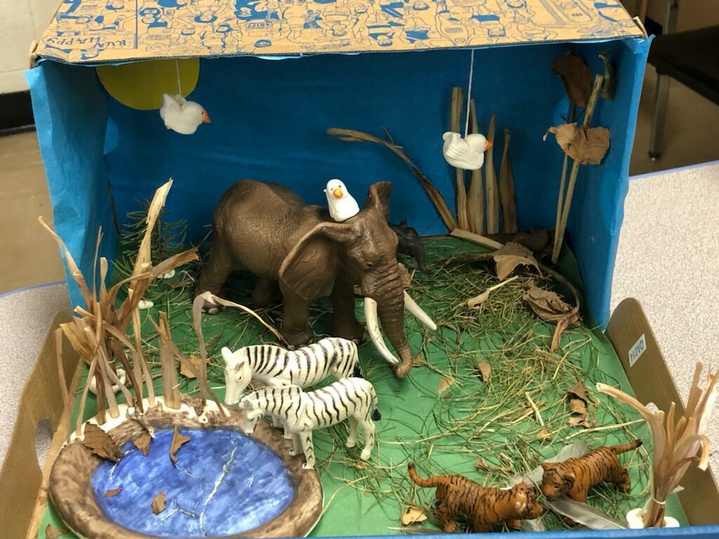 Student habitat project for Natural Resources