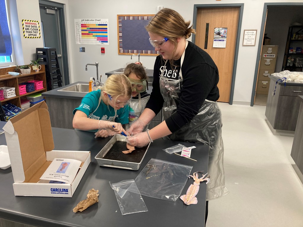 Biology Class Dissecting Squid with the 3rd Graders