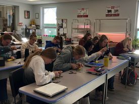 Students  stitching bananas in Animal Science