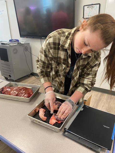 Animal Science Class dissected today