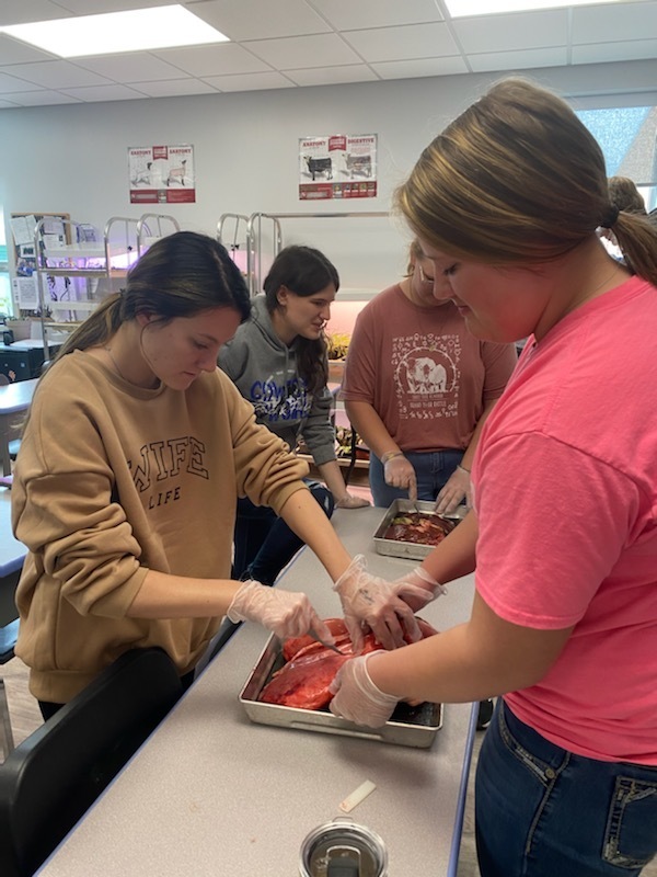 Animal Science Class dissected today